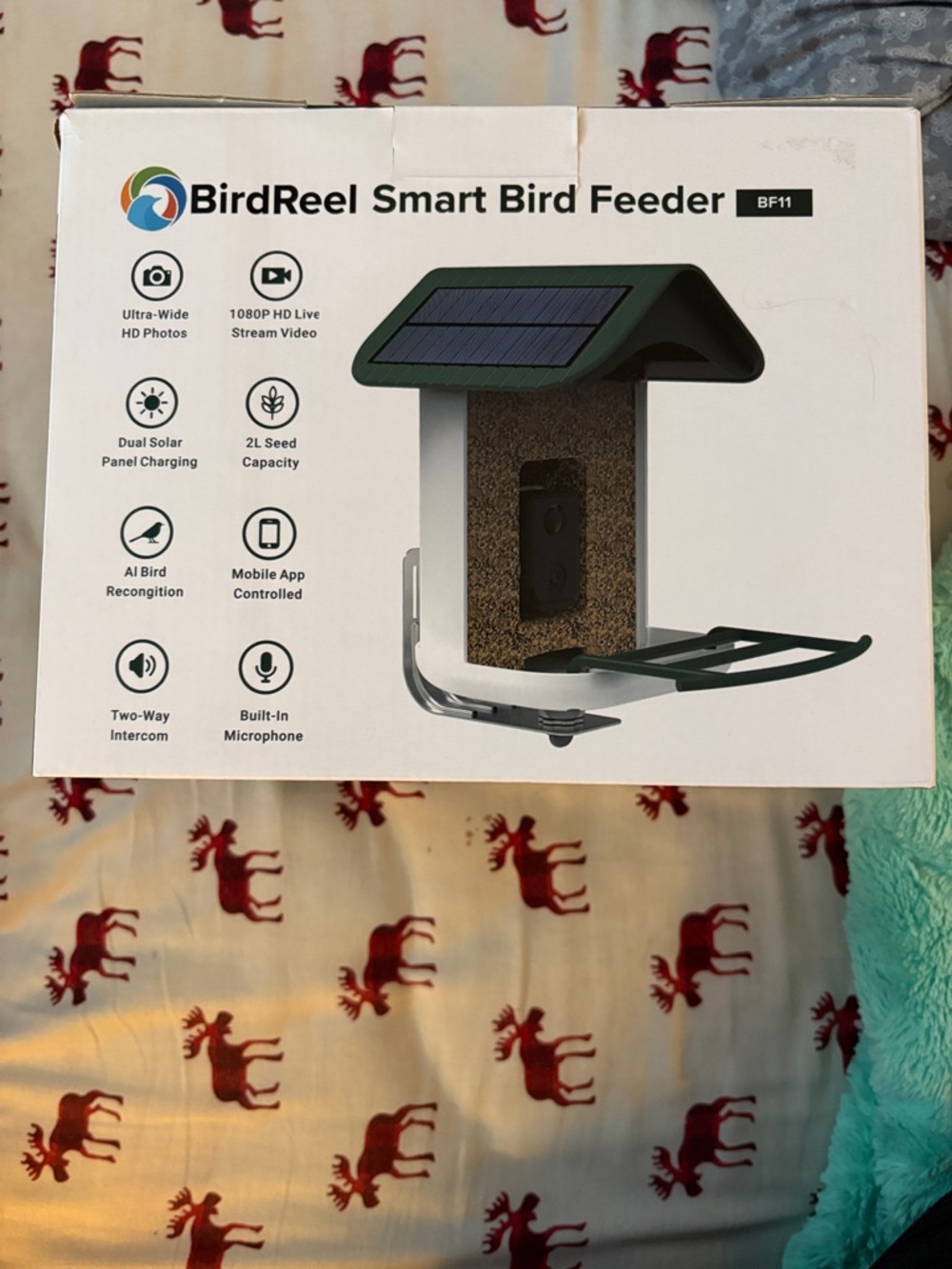 Smart Bird Feeder - Green Roof